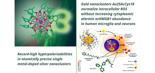 Napredna tehnologija na nanoskali – ligandirani nanoklasteri plemenitih metala
